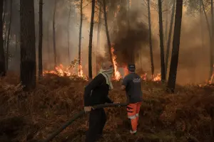 Des bénévoles prêtent main-forte aux pompiers pour lutter contre un feu de forêt à Lanton, le 29 juillet 2026, alors que des incendies ravagent la Gironde, dans le sud-ouest de la France.