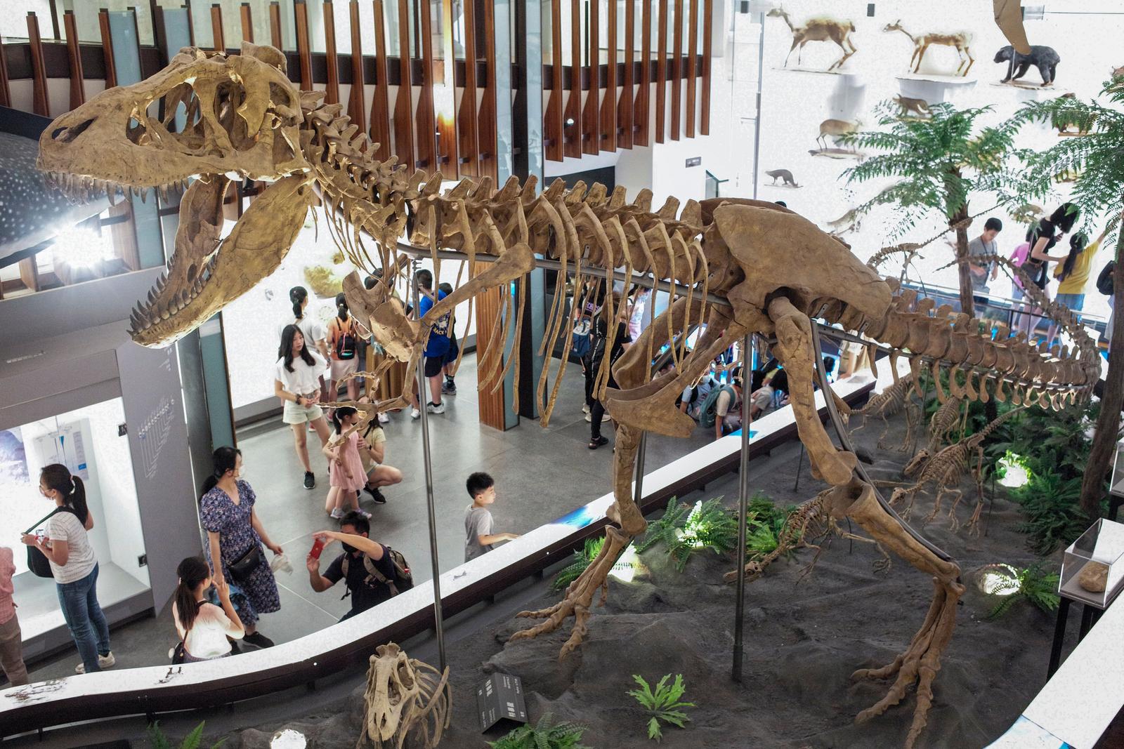 dinosaure - AFP