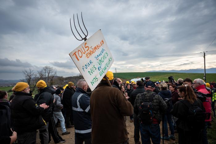 Un manifestant brandit une pancarte sur laquelle on peut lire « Tous ensemble pour sauver nos vaches et nos agriculteurs » aux Les-Bordes-sur-Arize, le 10 décembre 2025.