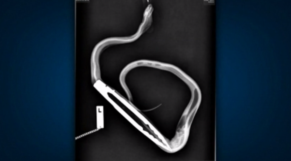 Article cover