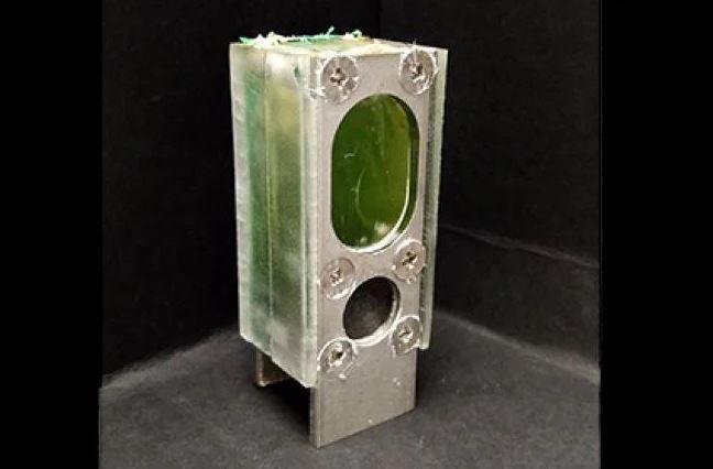 algue Atlantico Green 22 mai 2022