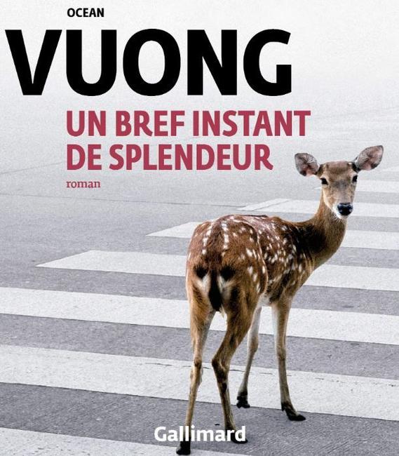 bref instant de splendeur