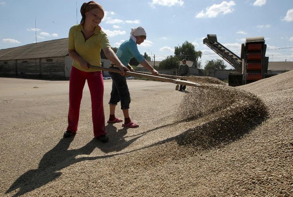 Ukraine céréales AFP