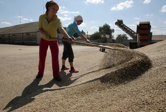 Ukraine céréales AFP