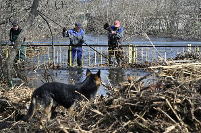 Ukraine inondations AFP