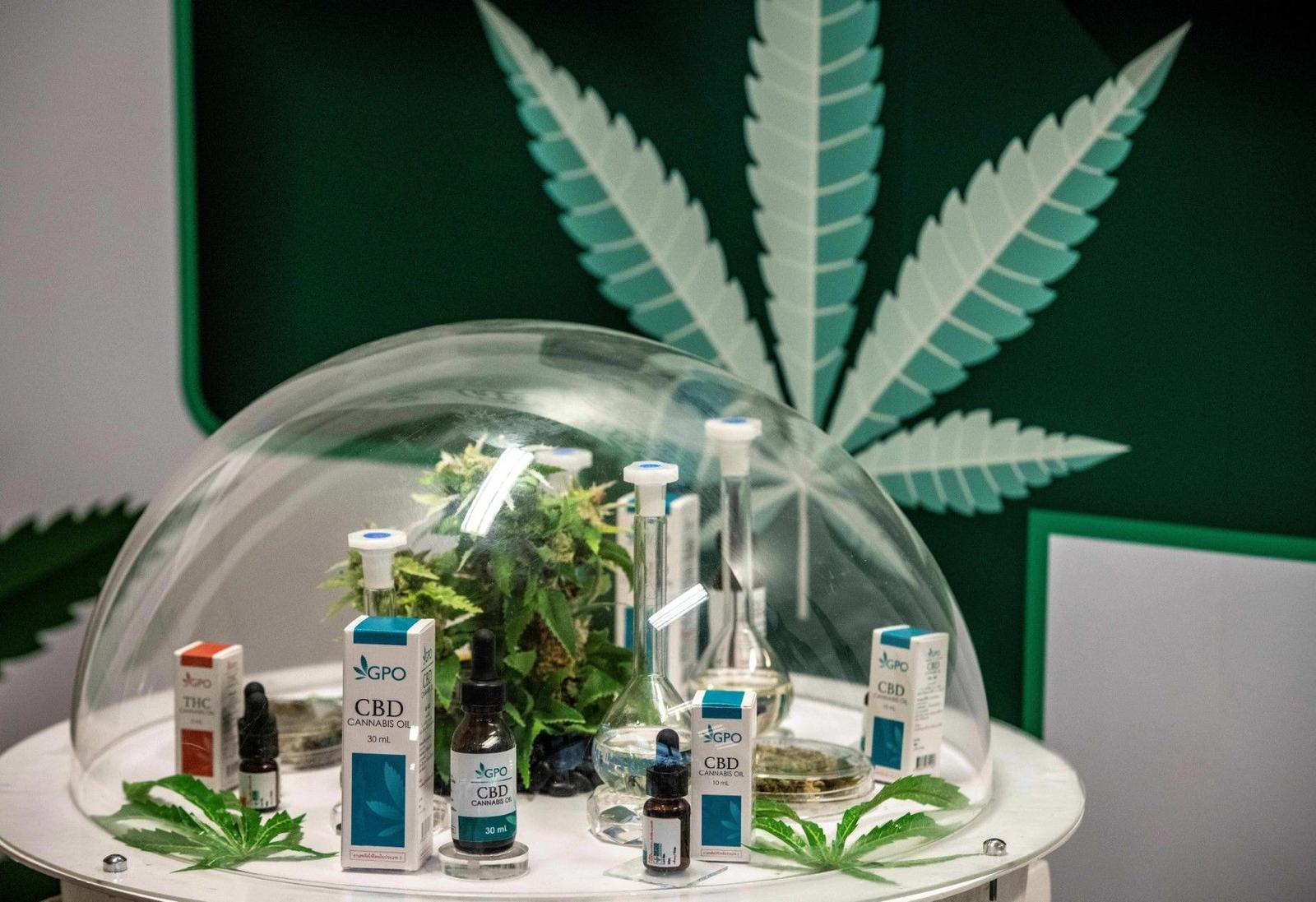 marijuana AFP