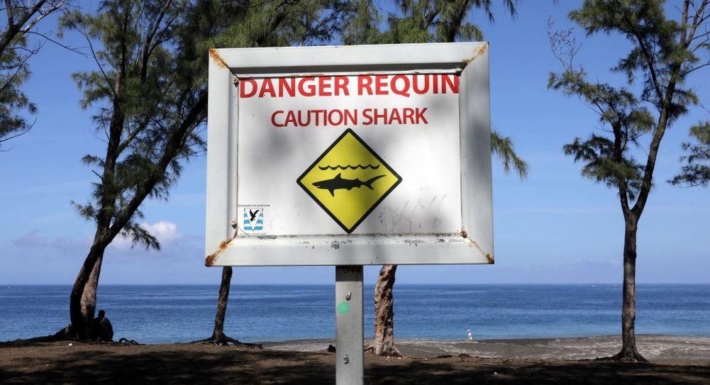 requins AFP