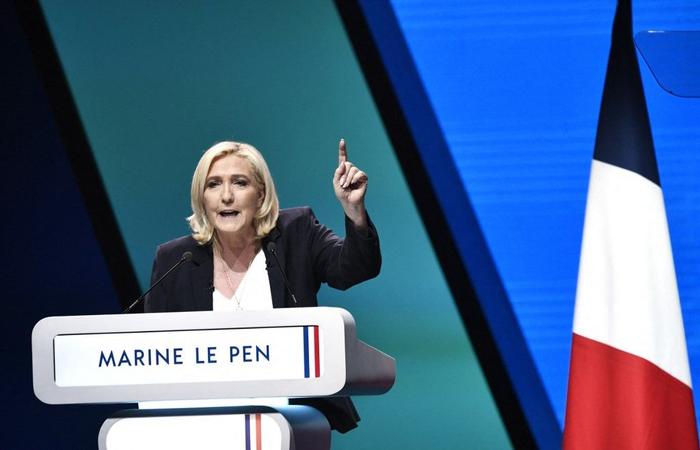 Marine Le Pen meeting AFP