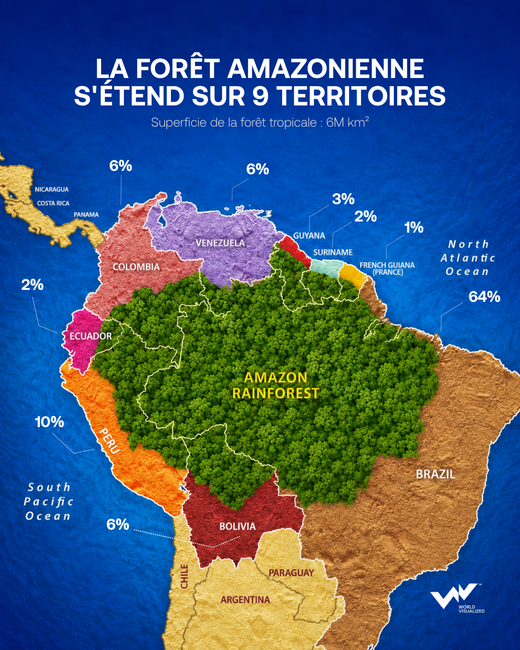 La forêt amazonienne s'étend sur 9 territoires.