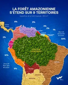 La forêt amazonienne s'étend sur 9 territoires.