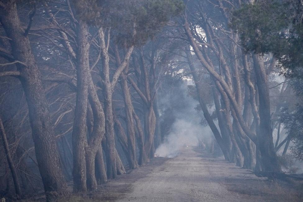 Incendie dans l'Aude (Photo by IDRISS BIGOU-GILLES / AFP)