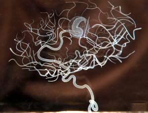 Cerveau.