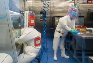 laboratoire Wuhan Covid-19 AFP