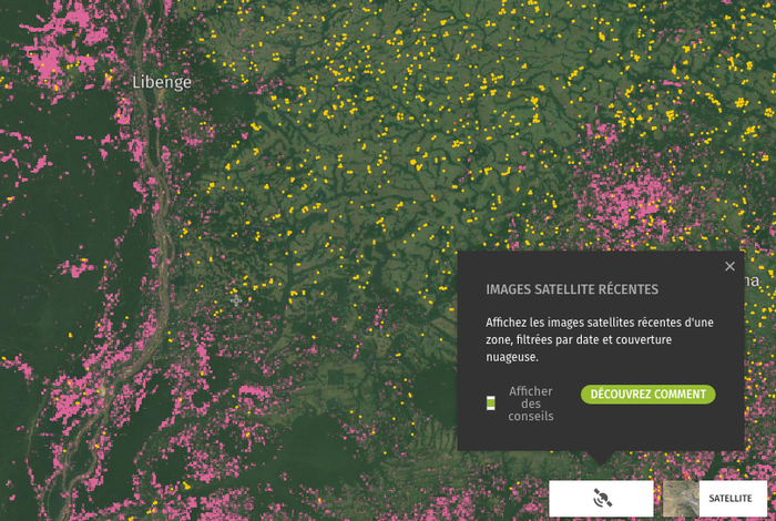 Global Forest Watch