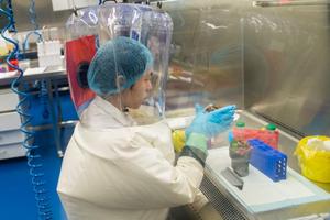 laboratoire Chine AFP