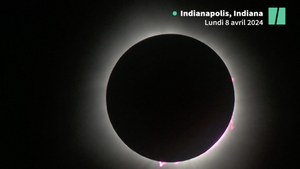 Article cover
