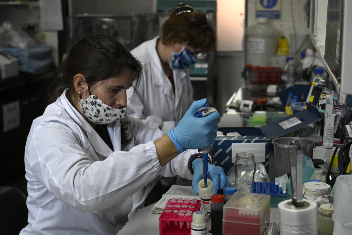 Des chercheuses travaillant dans un laboratoire sur la purification de l'ADN codant pour les gènes.