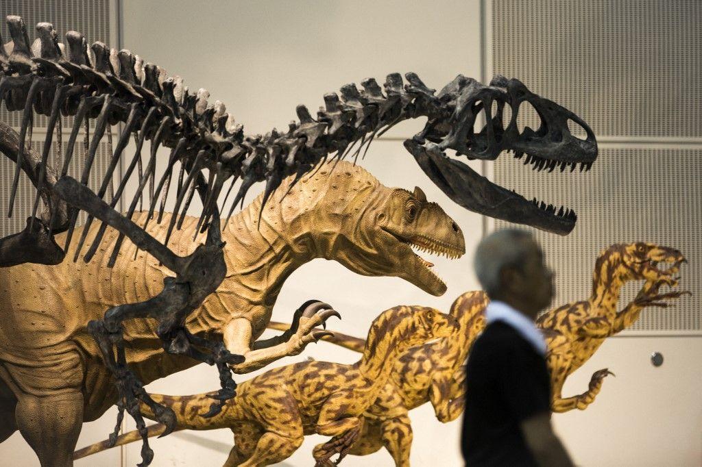 dinosaures AFP