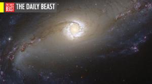 Article cover
