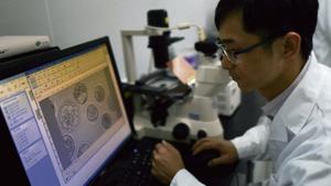 science recherche AFP