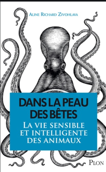 Article cover