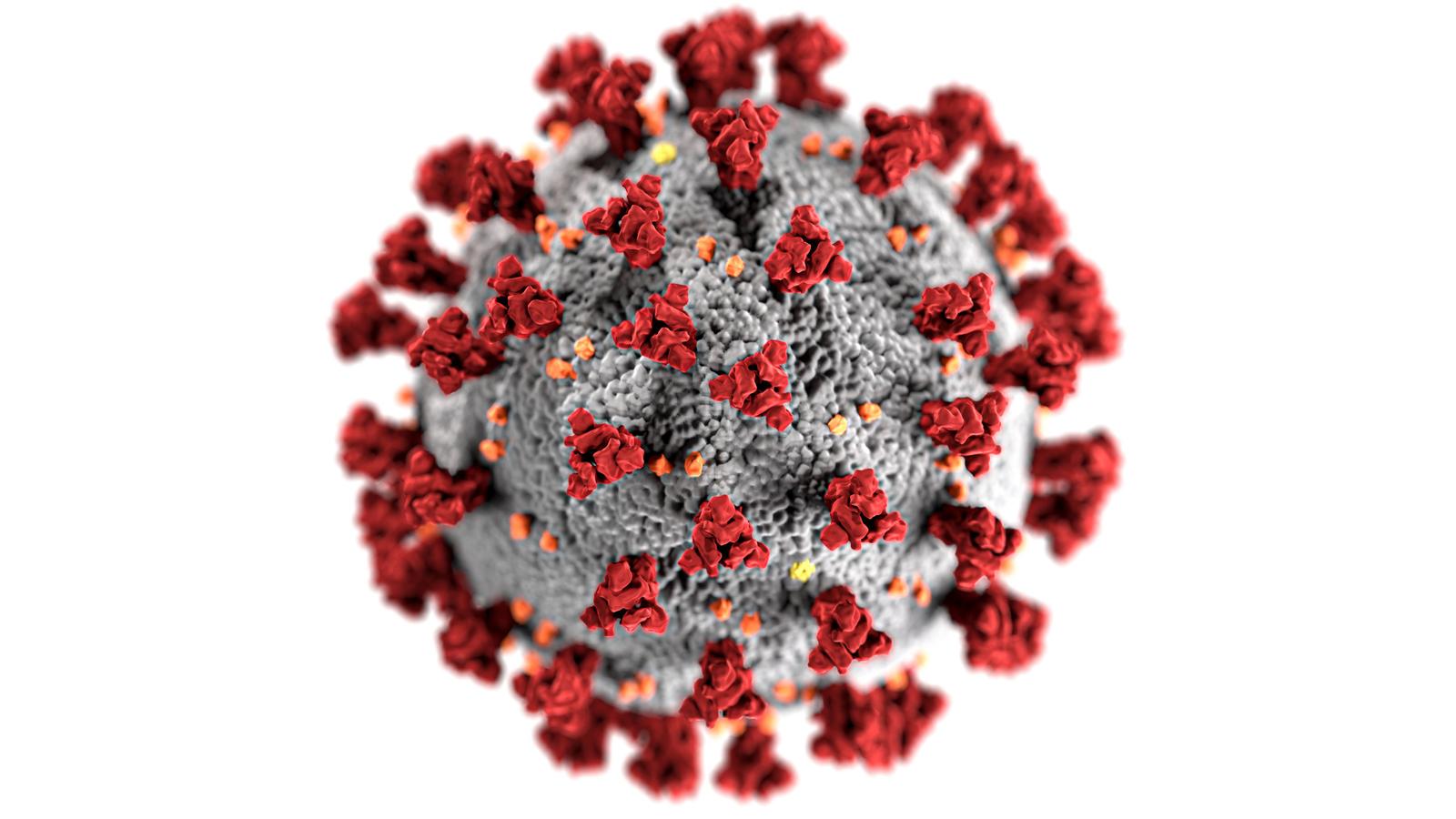Les virus, même anciens, évoluent constamment.