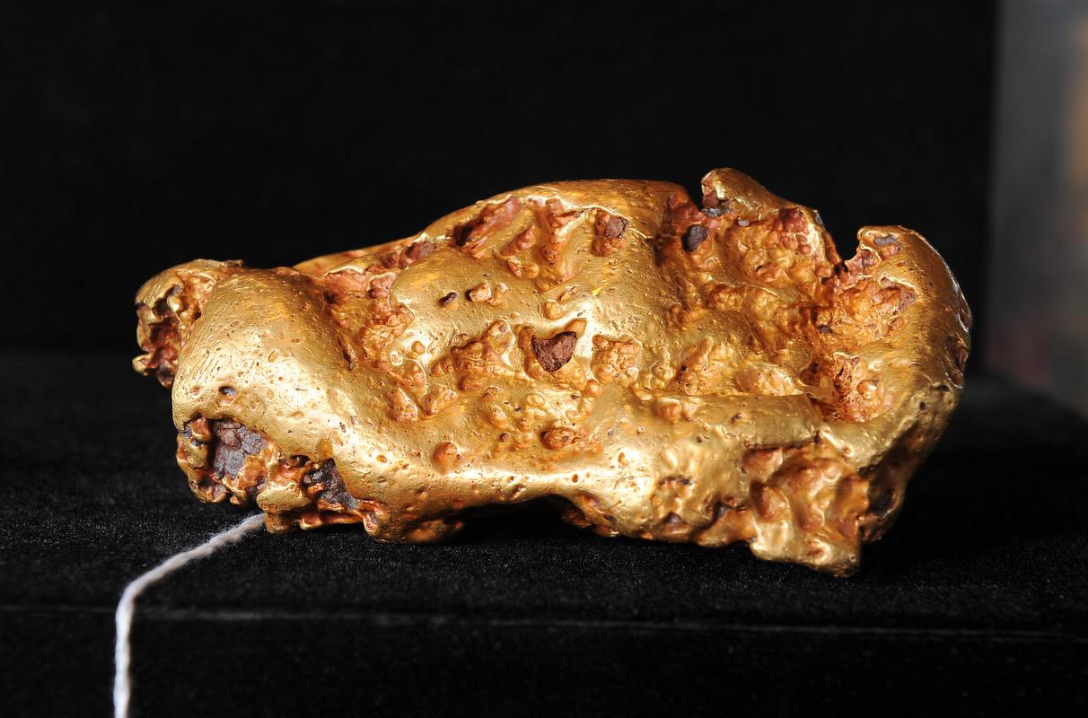 Une grosse pépite d'or australienne similaire au butin volé au muséum d'histoire naturelle, dont le prix de vente est estimé entre 100 000 et 150 000 dollars, est exposée lors d'une avant-première aux enchères, le 6 mai 2010 à Los Angeles. AFP PHOTO / Robyn Beck Photo de ROBYN BECK / AFP