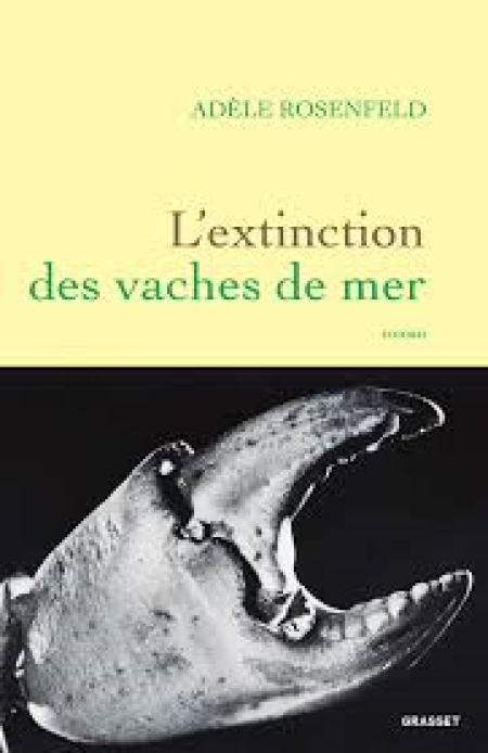 "L’extinction des vaches de mer" : un roman original, sensible, qui, hélas, avance à pas trop lents