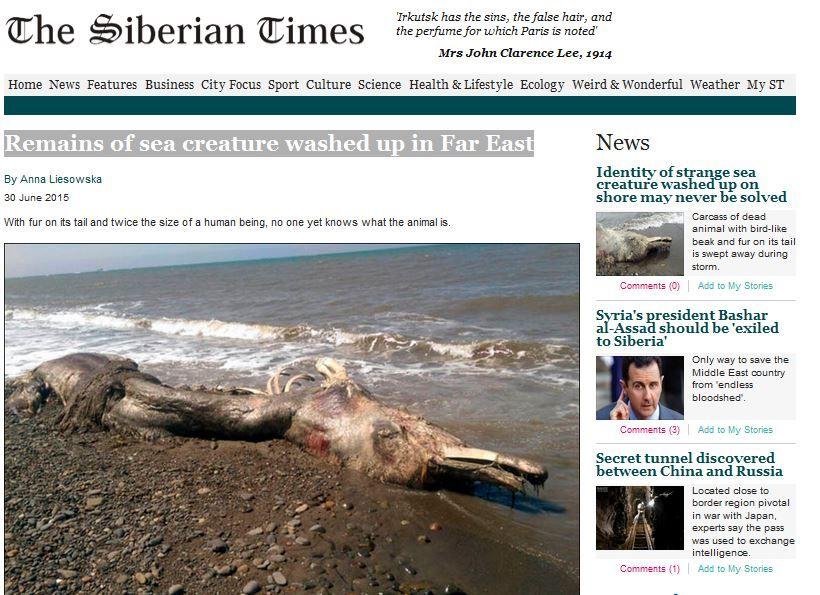 Article cover