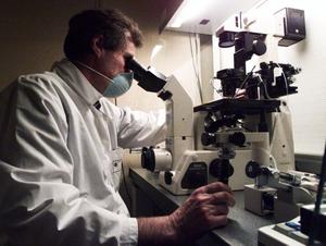 laboratoire étude spermatozoïde AFP