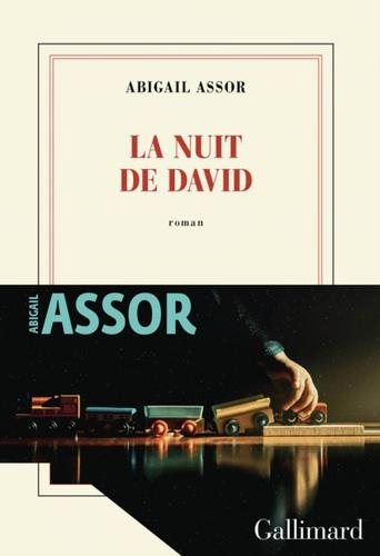 "La nuit de David" de Abigail Assor.