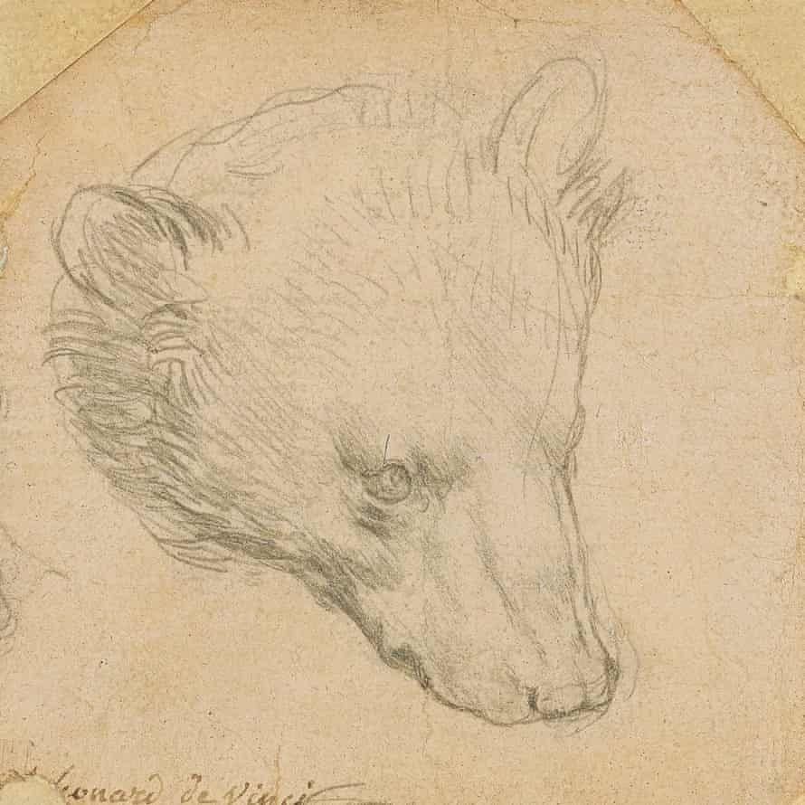 L'ours