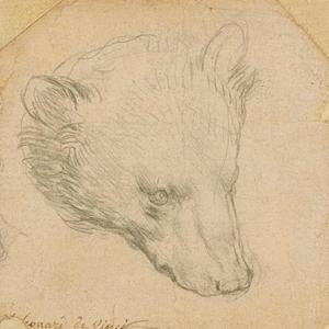L'ours