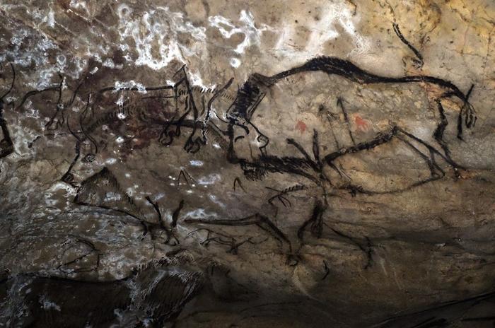 grotte de Niaux peintures rupestres - AFP