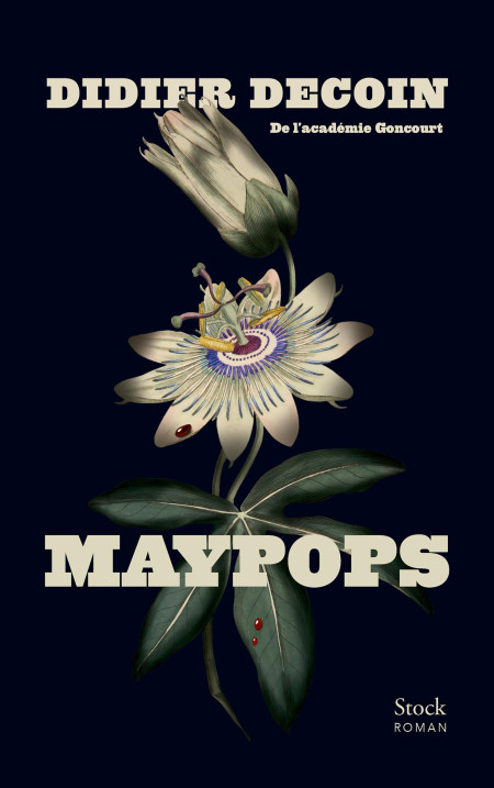 "Maypops" : le dossier judiciaire d'un jeune Noir américain, condamné à la peine de mort à l'âge de 14 ans, est réouvert cinquante ans plus tard
