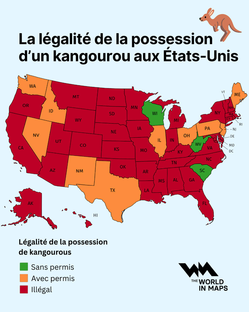 Peut-on avoir un kangourou comme animal de compagnie aux États-Unis ?