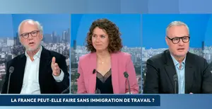 Capture d’écran Franceinfo