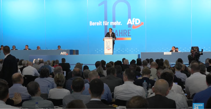 Capture d'écran AfD Allemagne