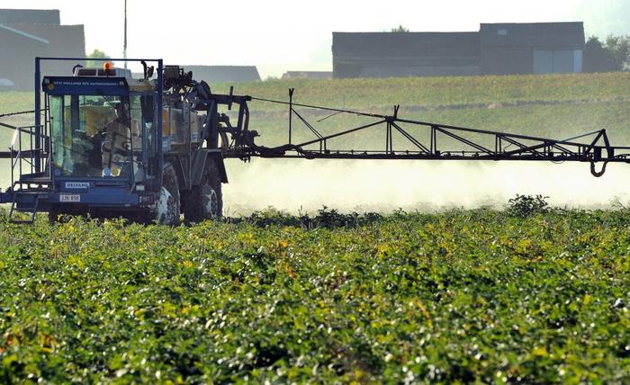 Un agriculteur pulvérise son champ de betteraves avec des produits phytosanitaires le 3 septembre 2013 à Godewaersvelde, dans le nord de la France.