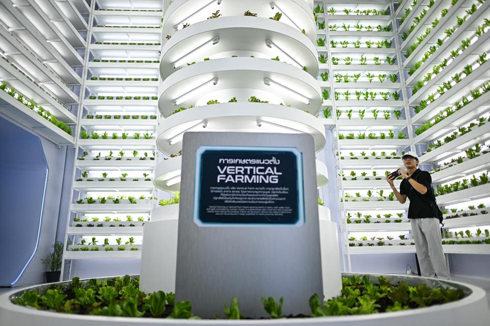 Un visiteur prend une photo d'une maquette d'agriculture verticale lors du salon Sustainability Expo 2024 à Bangkok, le 30 septembre 2024.