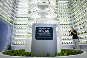 Un visiteur prend une photo d'une maquette d'agriculture verticale lors du salon Sustainability Expo 2024 à Bangkok, le 30 septembre 2024.