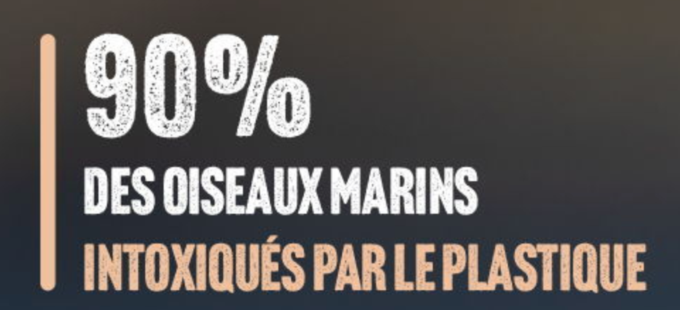 Ligue Protection des Oiseaux