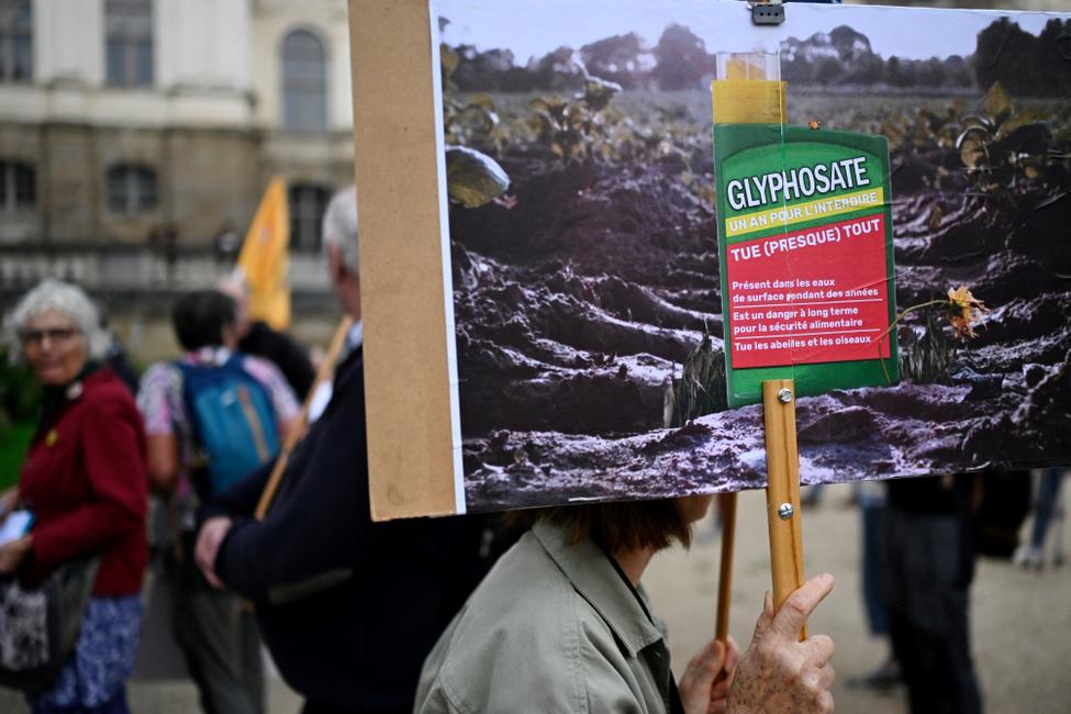 glyphosate - AFP