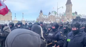 Article cover