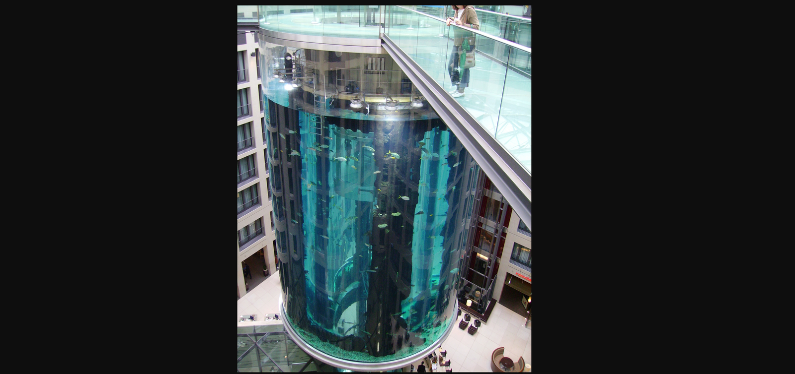 AquaDom