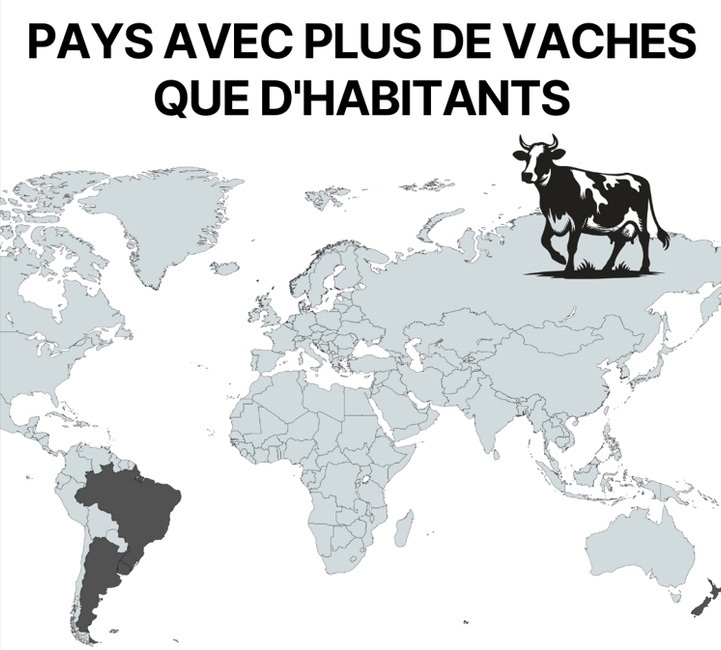 Ces pays où il y a moins d'habitants... que de vaches.