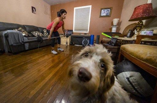 chien maison - AFP