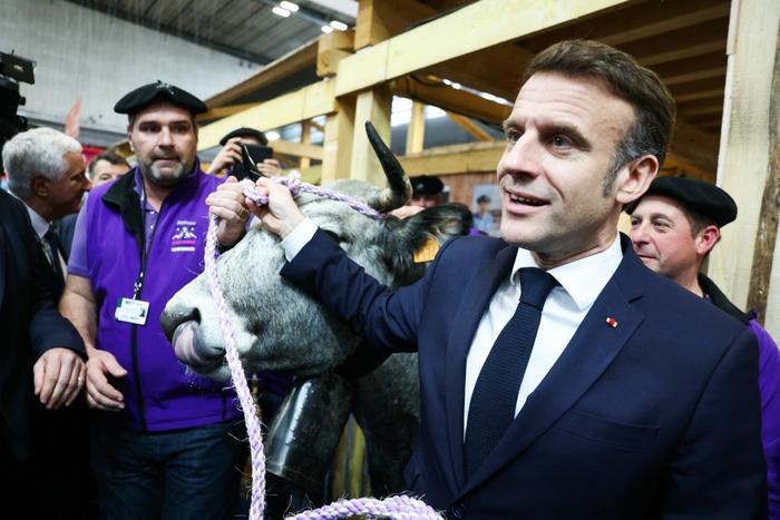 France's President Emmanuel Macron holds the rope of a cow during the opening day and inauguration by France's President of the 61st International Agricultural Fair (Salon de l'Agriculture) at the Porte de Versailles exhibition centre in Paris, on February 22, 2025. The 2025 edition of the SIA (Salon International de l'Agriculture) Agriculture is held in Paris from February 22, to March 2, 2025. (Photo by Alain JOCARD / POOL / AFP)