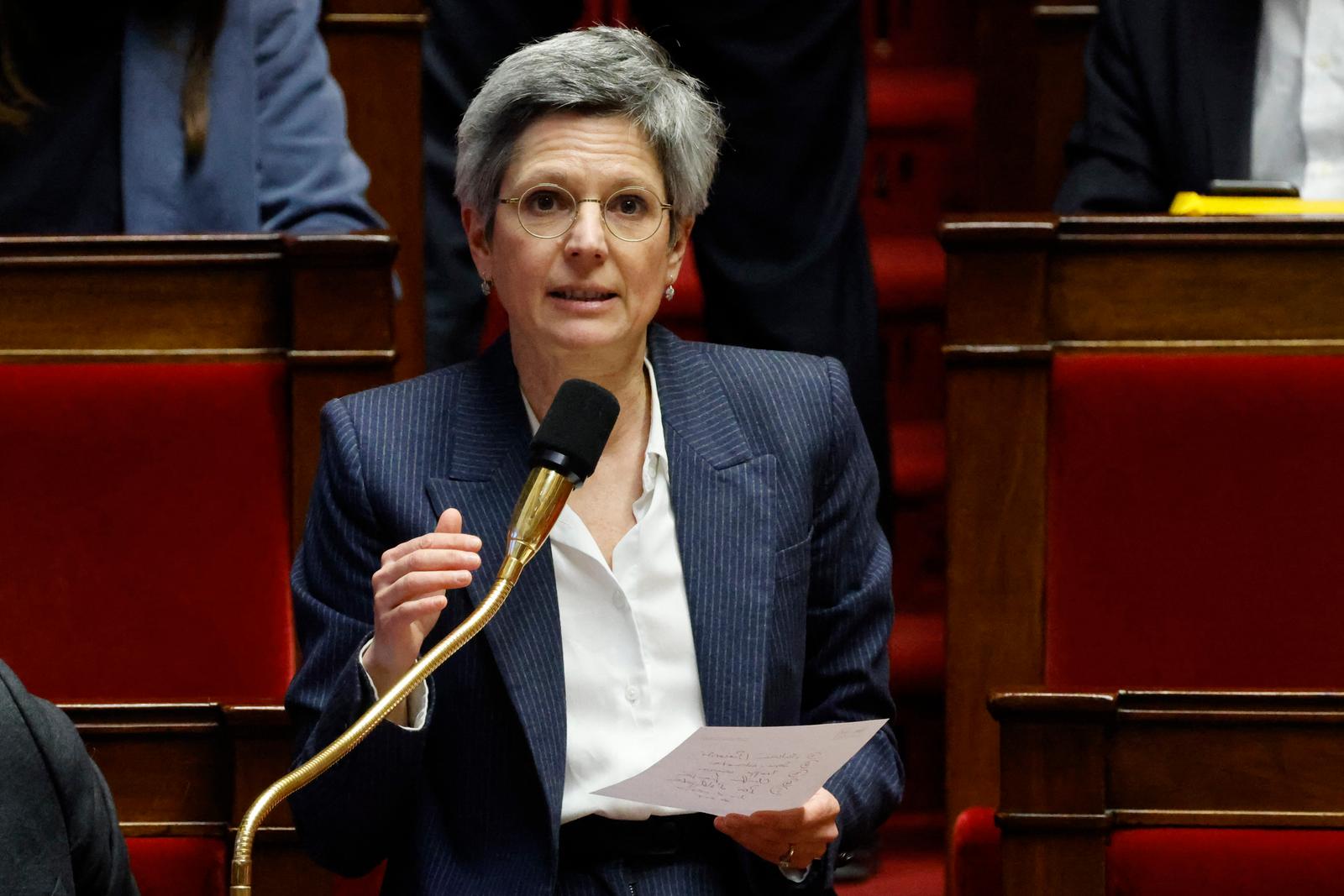 La députée d'Europe-Ecologie-Les Verts (EELV) et de la coalition de gauche NUPES Sandrine Rousseau s'exprime lors d'une séance de discussion sur le projet de réforme des retraites du gouvernement à l'Assemblée nationale.