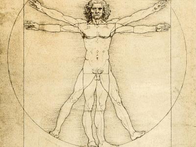Homme de Vitruve (illustration)